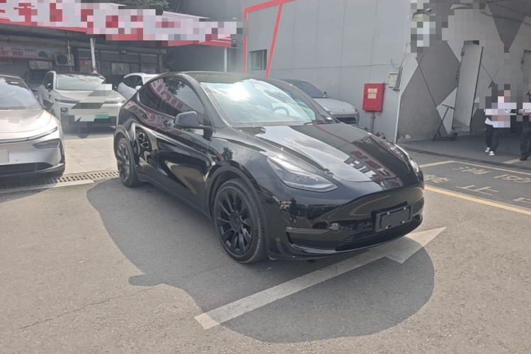 Tesla Model Y 2021 car image #6