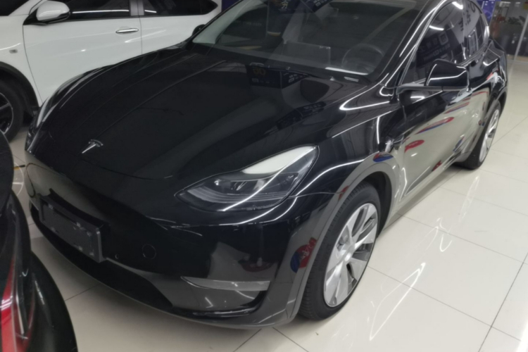 Tesla Model Y 2021 car image #2