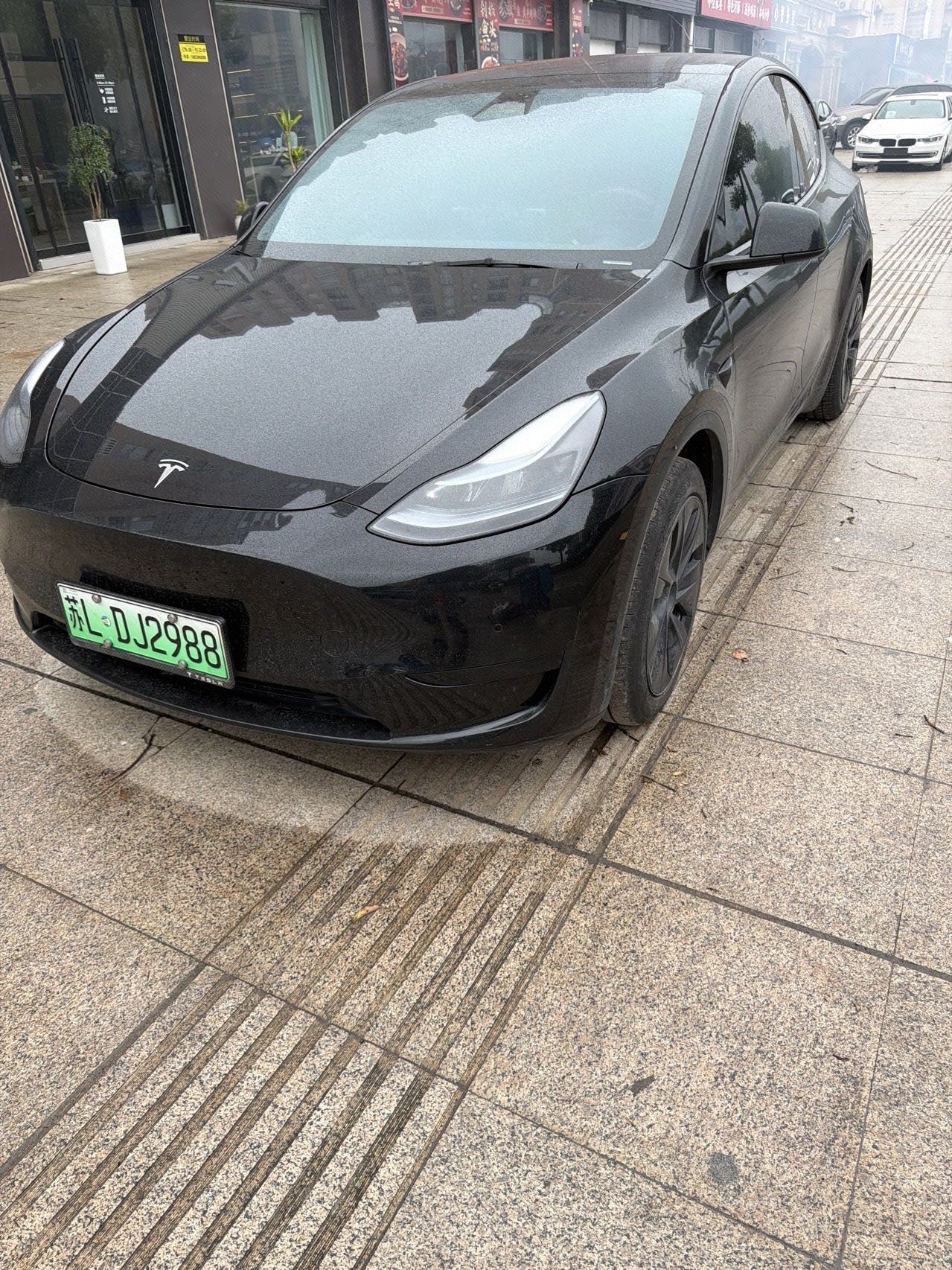 Tesla Model Y 2024 Tesla Model Y 2024 car image