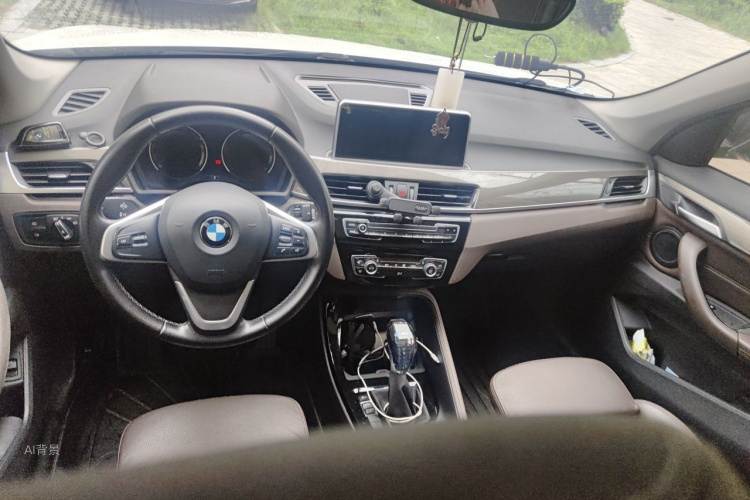 BMW X1 2019 car image #11