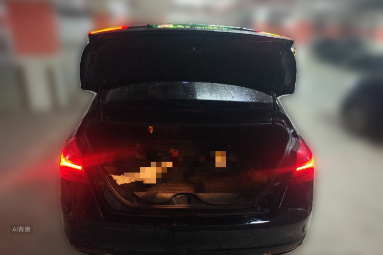 GEELY Emgrand 2018 car image #21