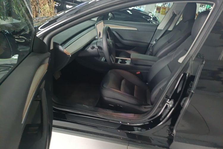 Tesla Model 3 2021 car image #15