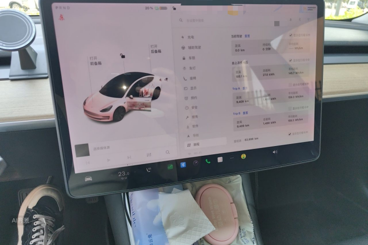 Tesla Model 3 2020 car image #13
