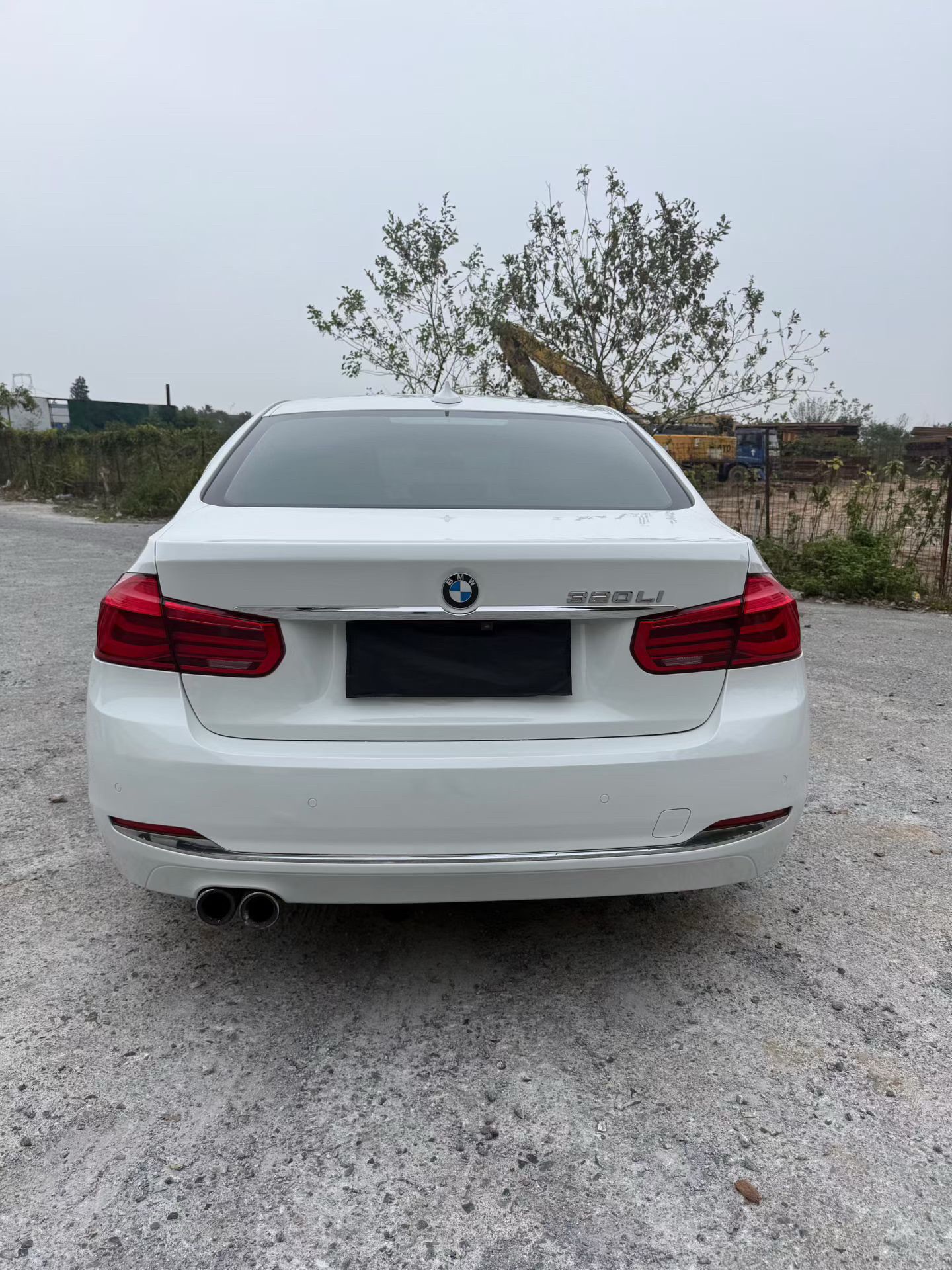 BMW 3 Series 2019 immagine di auto #7