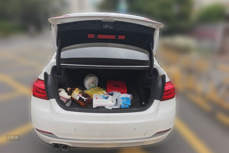 BMW 3 Series 2018 car image #21