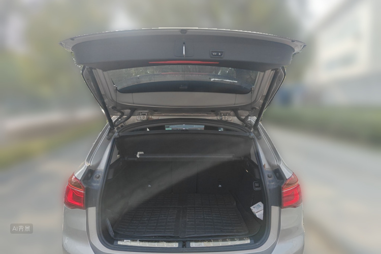 BMW X1 2017 imagem de carro #21