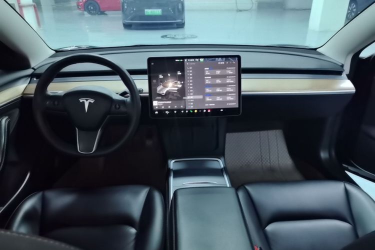 Tesla Model 3 2023 car image #10