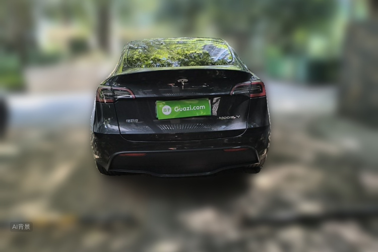 Tesla Model Y 2024 car image #6