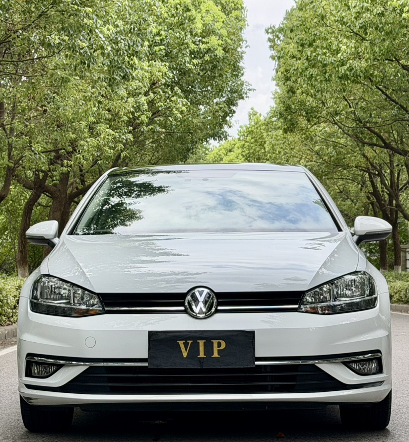 Volkswagen Golf 2019 imagen de coche #2
