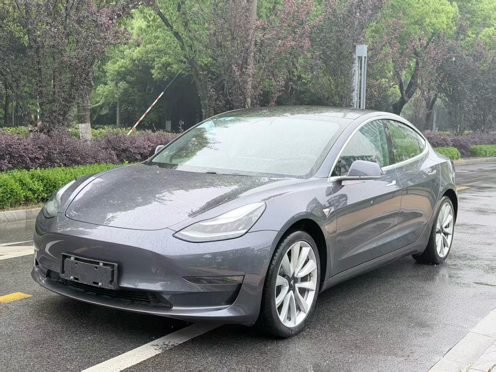 Tesla Model 3 2020 Tesla Model 3 2020 car image