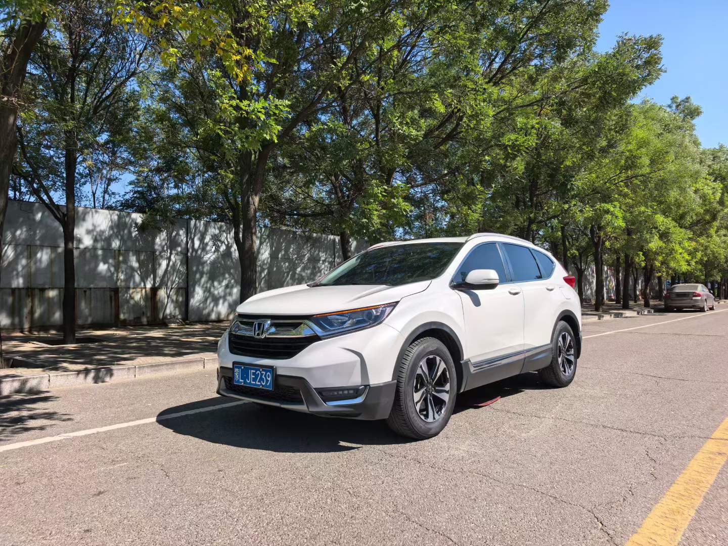 Honda CR-V 2019 Honda CR-V 2019 car image