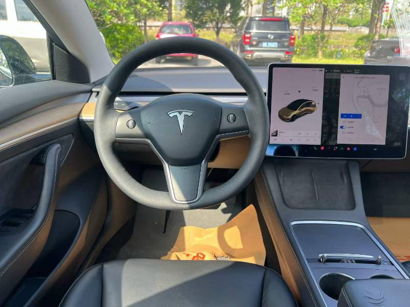 Tesla Model 3 2021 car image #7
