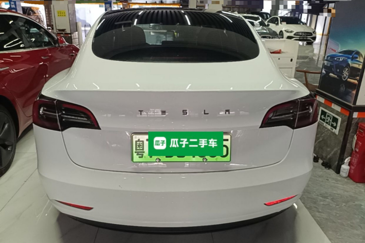Tesla Model 3 2021 car image #6