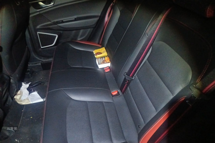 GEELY Emgrand GS 2020 car image #19