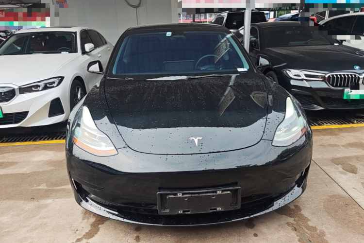Tesla Model 3 2021 #3 Tesla Model 3 2021 car image #3