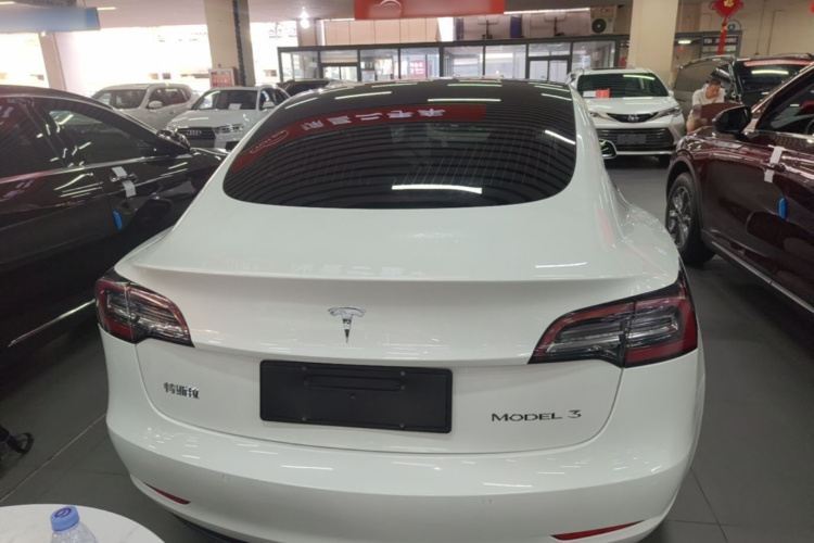 Tesla Model 3 2020 #6 Tesla Model 3 2020 car image #6