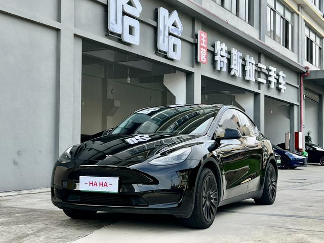 Tesla Model Y 2021 car image #11