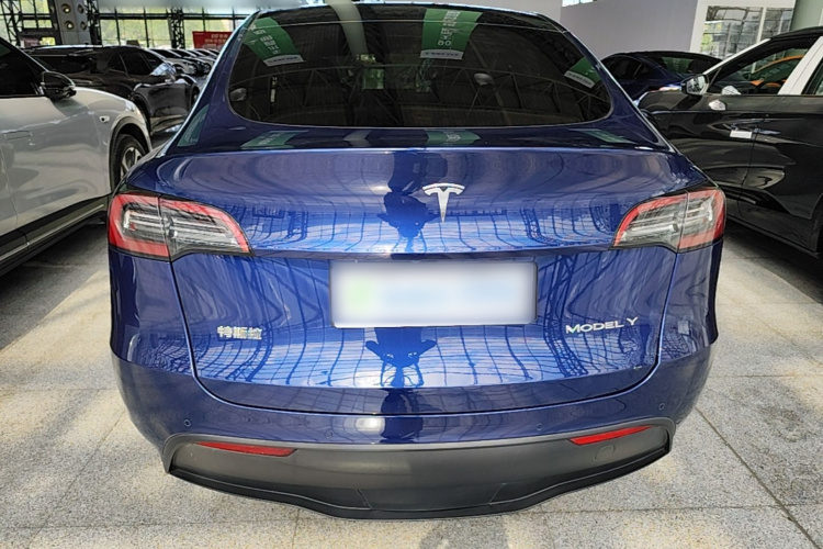 Tesla Model Y 2021 #6 Tesla Model Y 2021 car image #6
