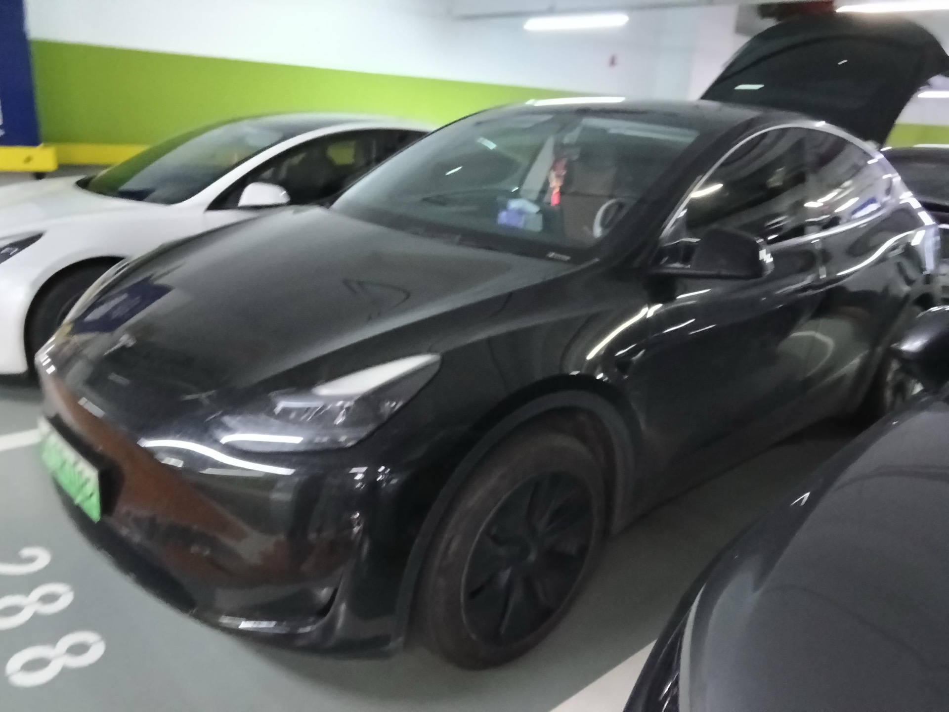 Tesla Model Y 2023 Tesla Model Y 2023 car image