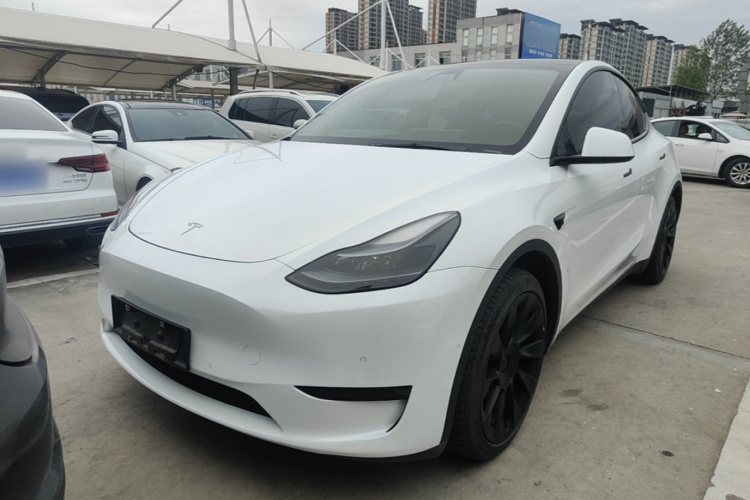 Tesla Model Y 2022 #2 Tesla Model Y 2022 car image #2