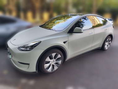 Tesla Model Y 2021 Tesla Model Y 2021 car image
