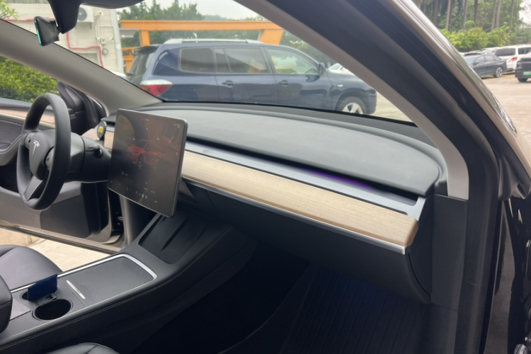 Tesla Model Y 2022 car image #10