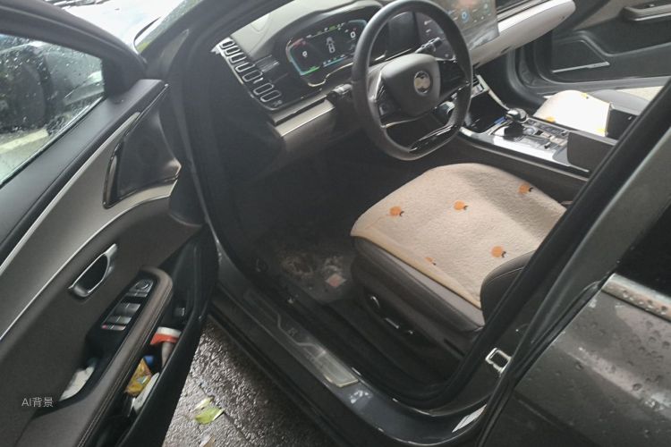 BYD Han 2021 #18 BYD Han 2021 immagine di auto #18