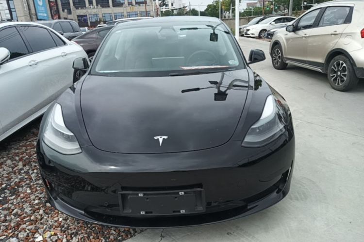 Tesla Model 3 2021 #3 Tesla Model 3 2021 car image #3