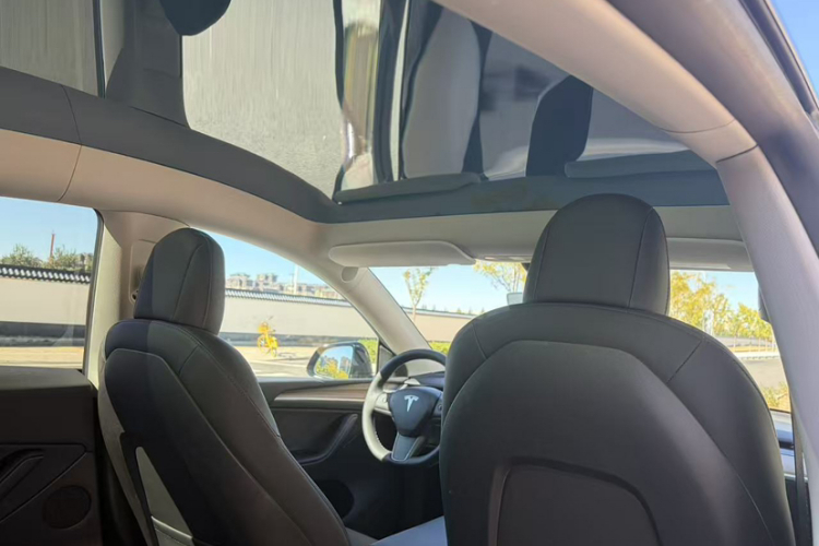 Tesla Model Y 2021 #20 Tesla Model Y 2021 image de voiture #20
