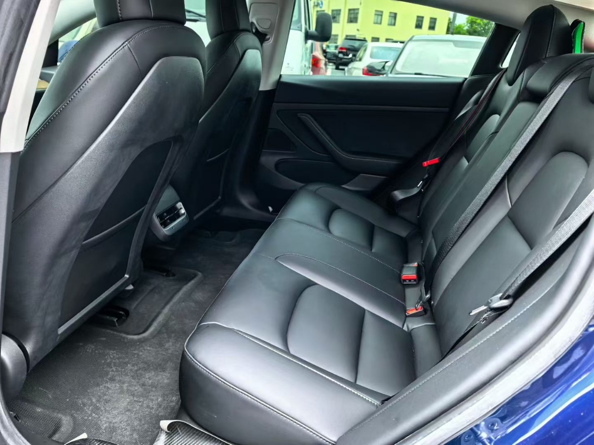 Tesla Model 3 2020 car image #4