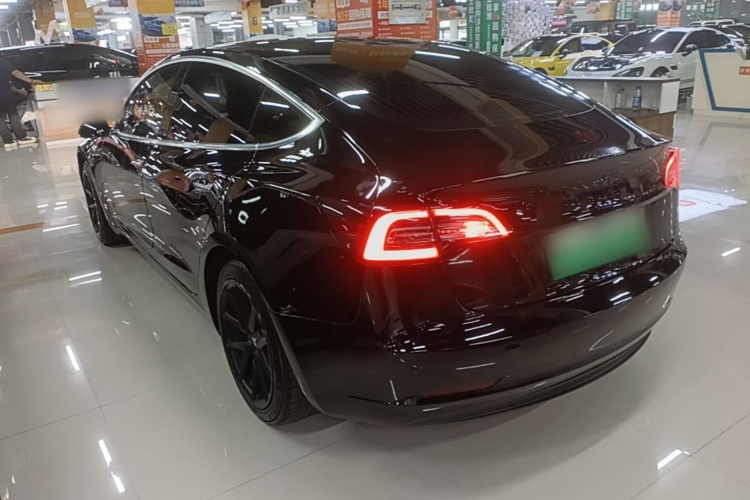 Tesla Model 3 2020 #5 Tesla Model 3 2020 car image #5