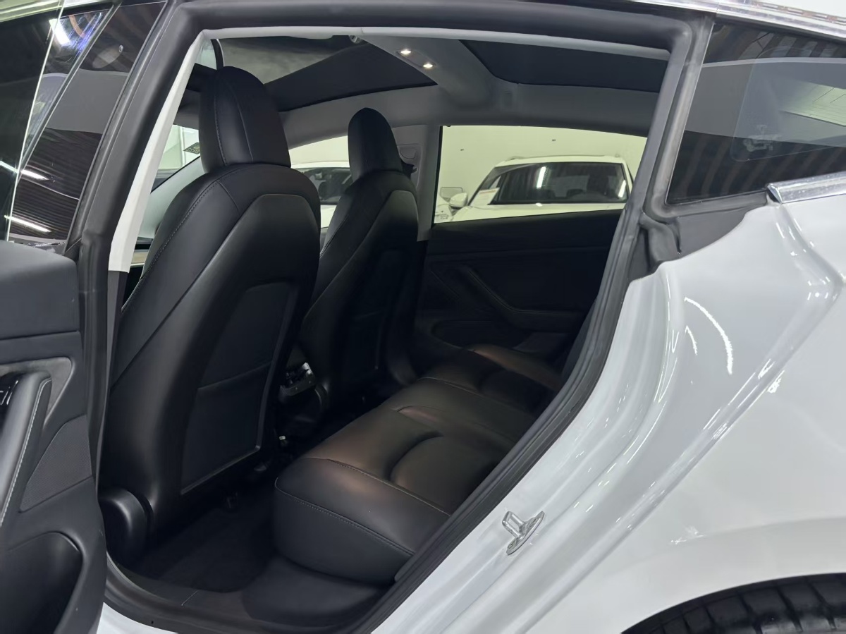 Tesla Model 3 (Imported) 2020 car image #6