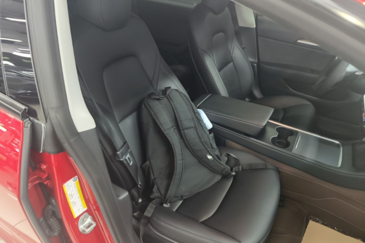 Tesla Model 3 2021 car image #26