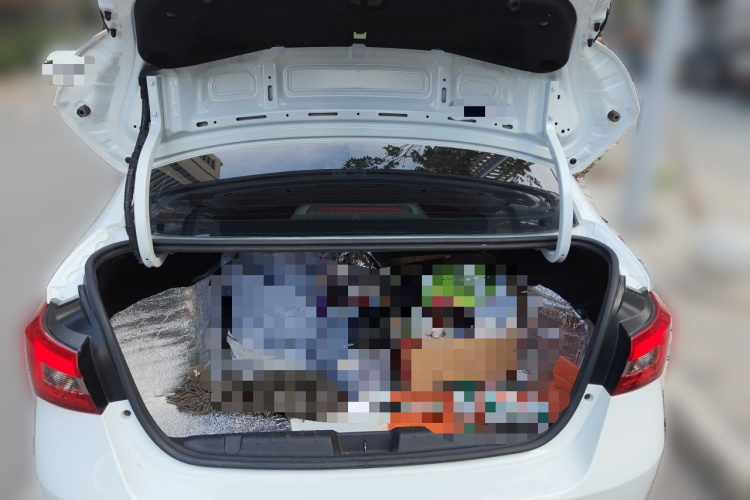 Chery Arrizo 5 2020 car image #17
