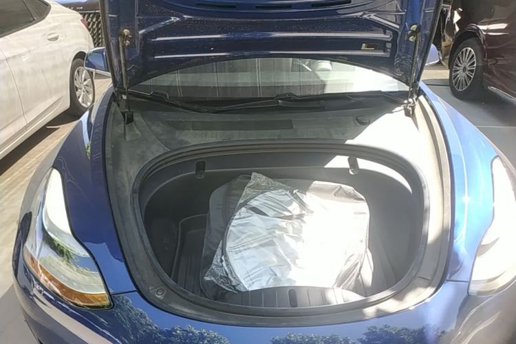 Tesla Model 3 2020 #20 Tesla Model 3 2020 car image #20