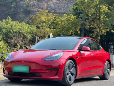Tesla Model 3 2022 汽车图片 