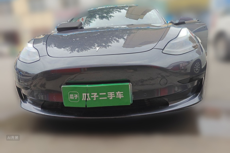Tesla Model 3 2021 #3 Tesla Model 3 2021 car image #3
