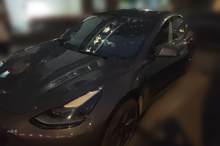 Tesla Model 3 2021 car image #2