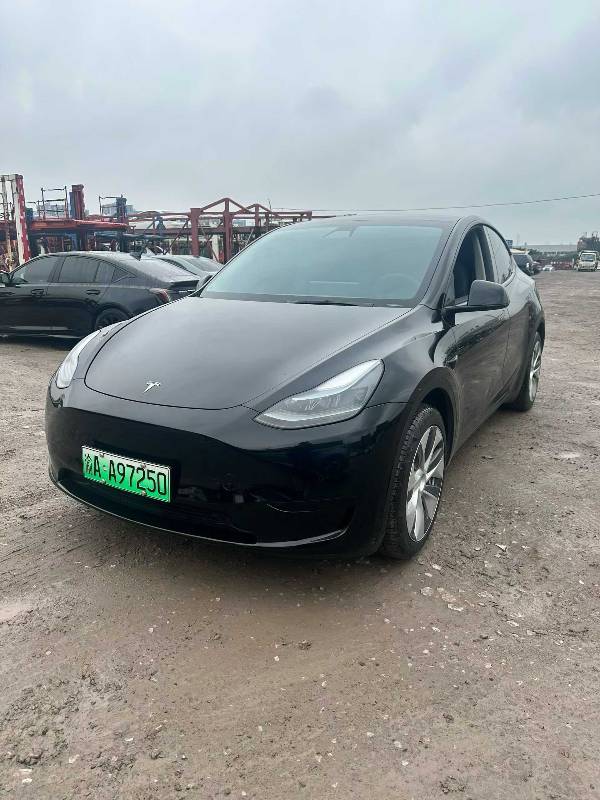Tesla Model Y 2023 Tesla Model Y 2023 car image