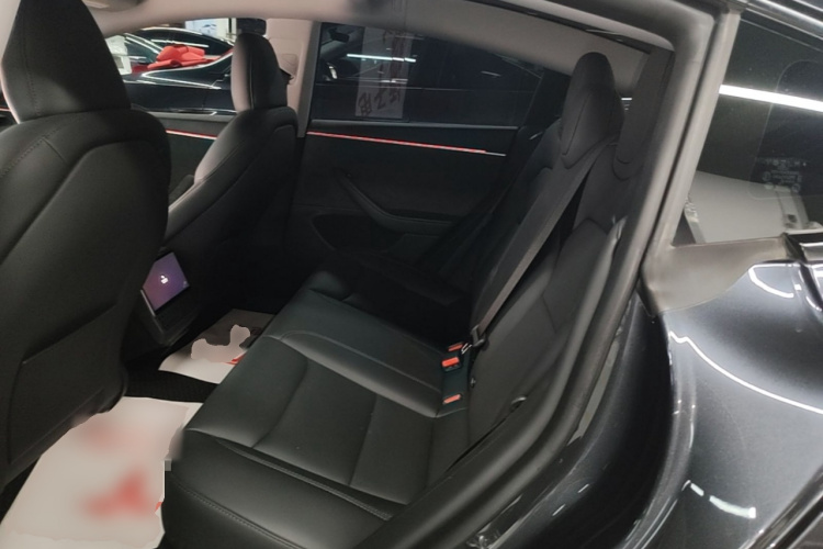 Tesla Model 3 2024 car image #17