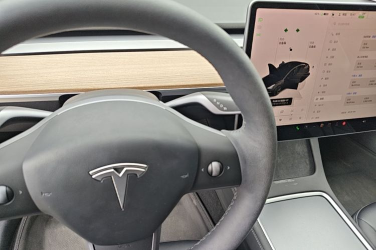 Tesla Model 3 2023 car image #18