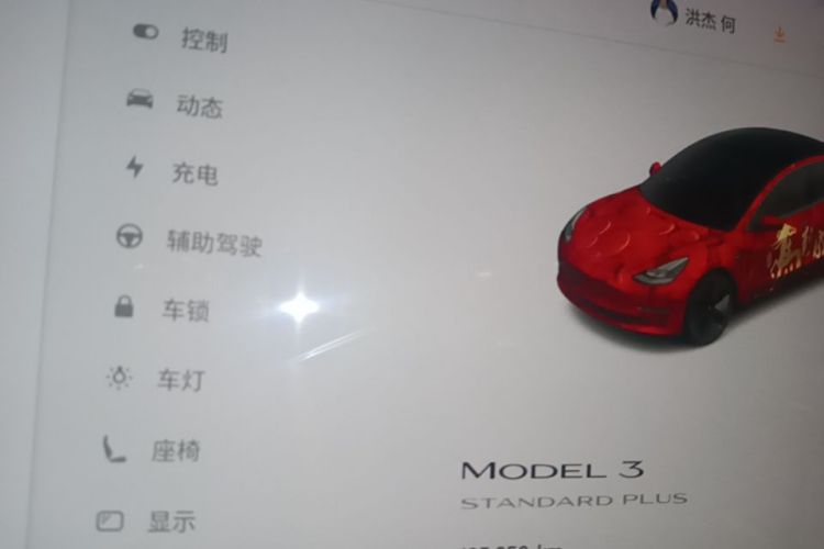 Tesla Model 3 2021 car image #12