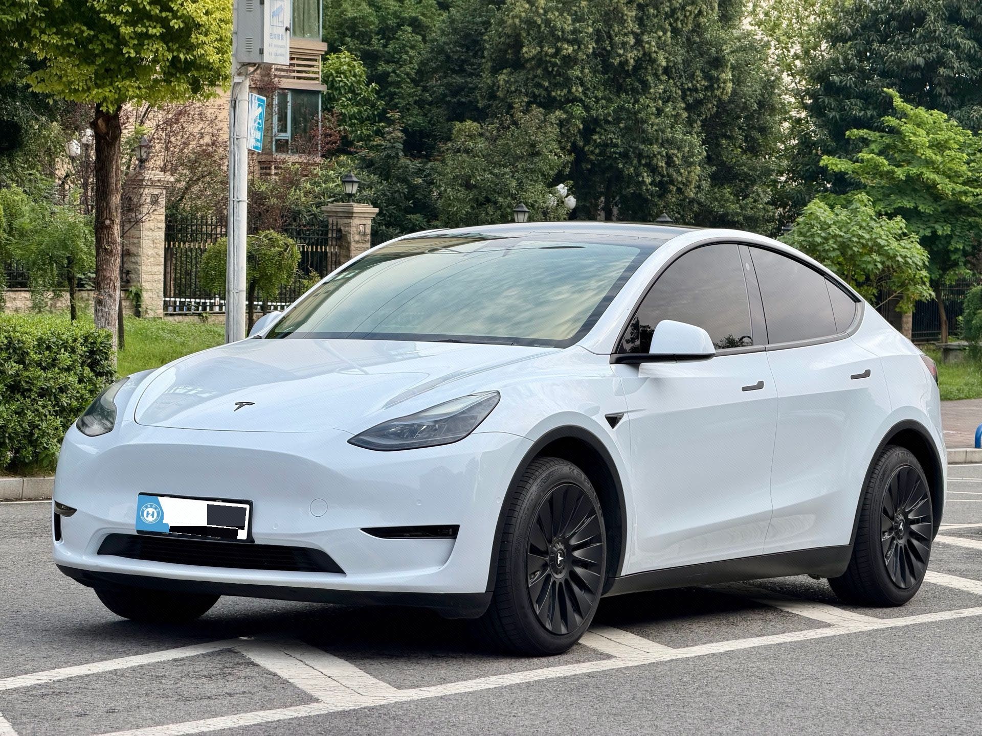 Tesla Model Y 2021 Tesla Model Y 2021 imagen de coche