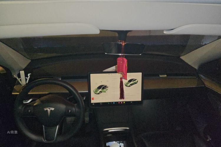 Tesla Model Y 2023 #20 Tesla Model Y 2023 car image #20