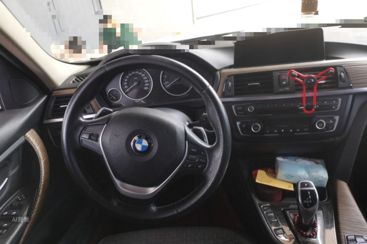 BMW 3 Series 2014 car image #12