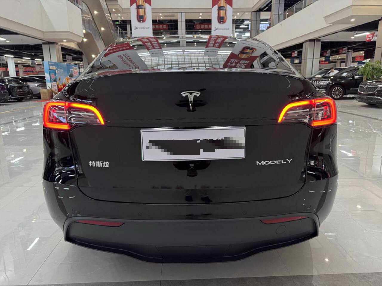 Tesla Model Y 2021 car image #10
