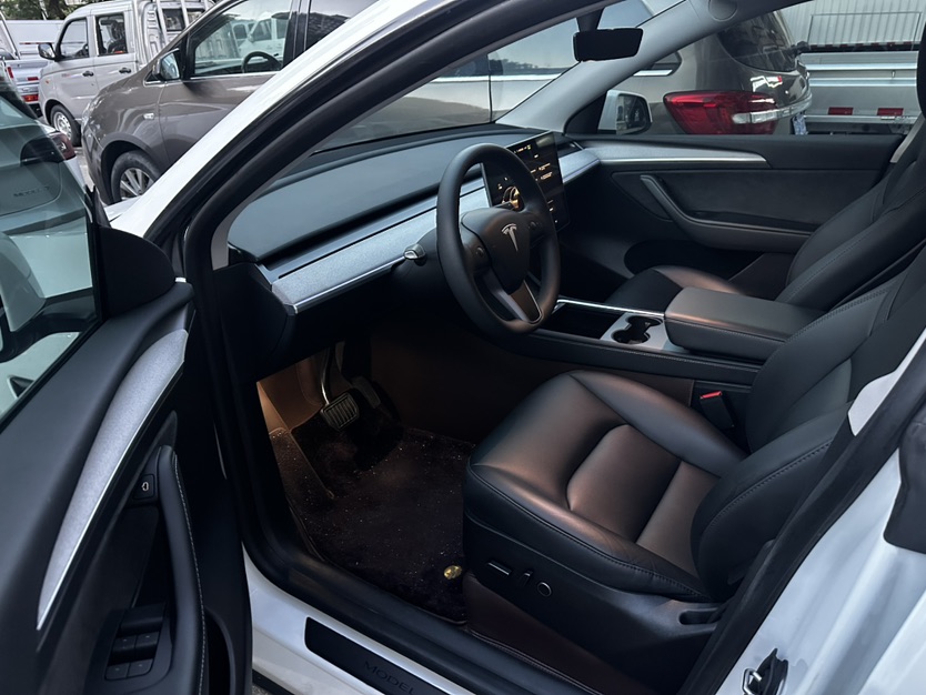 Tesla Model Y 2024 car image #6