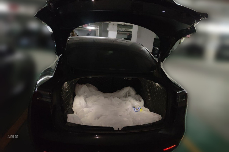 Tesla Model 3 2021 imagem de carro #21