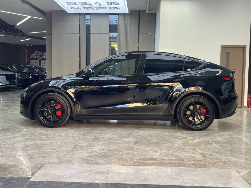 Tesla Model Y 2021 car image #4