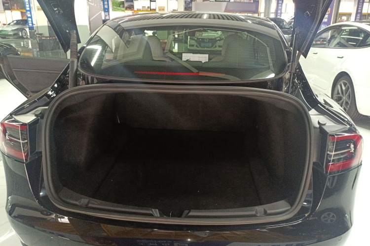 Tesla Model 3 2022 #19 Tesla Model 3 2022 car image #19